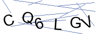 Security Captcha