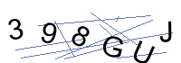 Security Captcha