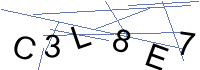 Security Captcha