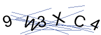 Security Captcha