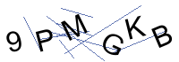 Security Captcha