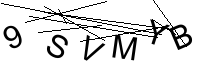Security Captcha