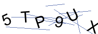 Security Captcha