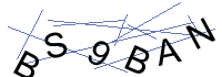 Security Captcha