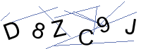 Security Captcha