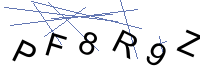 Security Captcha