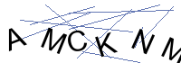 Security Captcha