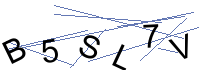 Security Captcha