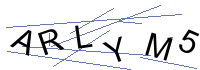 Security Captcha
