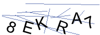 Security Captcha