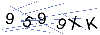 Security Captcha
