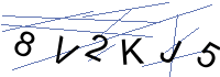 Security Captcha