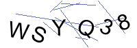 Security Captcha