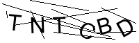 Security Captcha