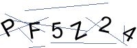 Security Captcha