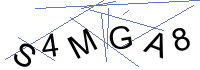 Security Captcha