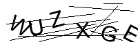 Security Captcha
