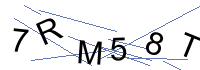 Security Captcha