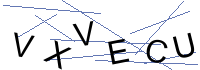 Security Captcha