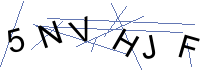 Security Captcha