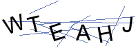 Security Captcha