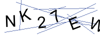 Security Captcha