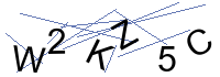 Security Captcha