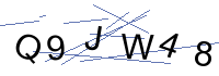 Security Captcha