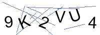 Security Captcha