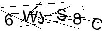 Security Captcha