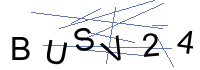 Security Captcha