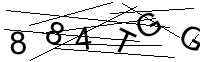 Security Captcha