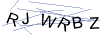 Security Captcha