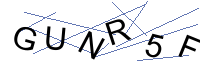Security Captcha