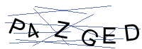 Security Captcha