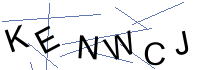 Security Captcha