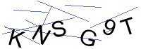 Security Captcha