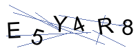 Security Captcha