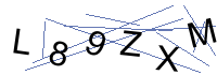 Security Captcha