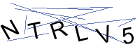 Security Captcha