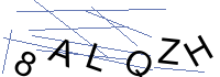 Security Captcha
