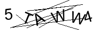 Security Captcha
