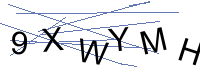 Security Captcha