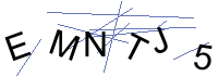 Security Captcha