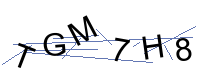 Security Captcha