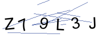 Security Captcha