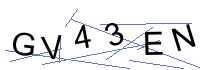 Security Captcha