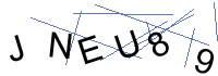 Security Captcha