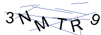 Security Captcha