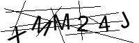 Security Captcha